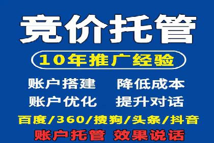 SEM托管实战案例：助力企业品牌形象塑造